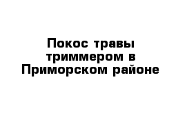 Покос травы триммером в Приморском районе